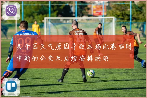 关于因天气原因导致本场比赛临时中断的公告及后续安排说明